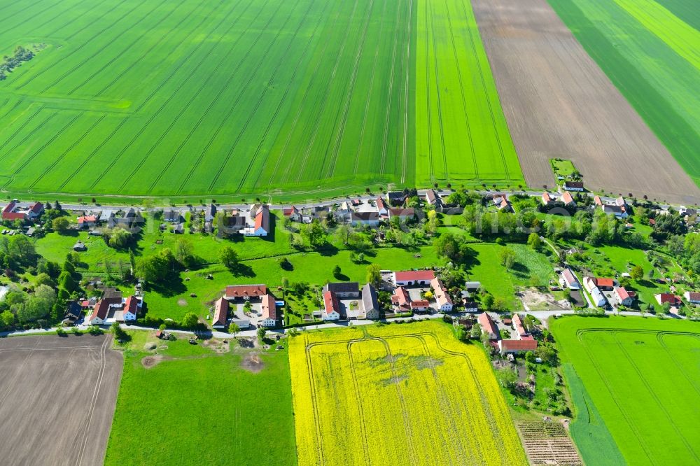 Aerial photograph Lampertswalde - Homestead of a farm in Lampertswalde in the state Saxony, Germany