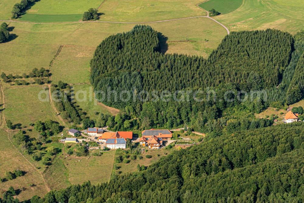 Aerial photograph Schweighausen - Homestead of a farm Lohbaechle in Schweighausen in the state Baden-Wurttemberg, Germany