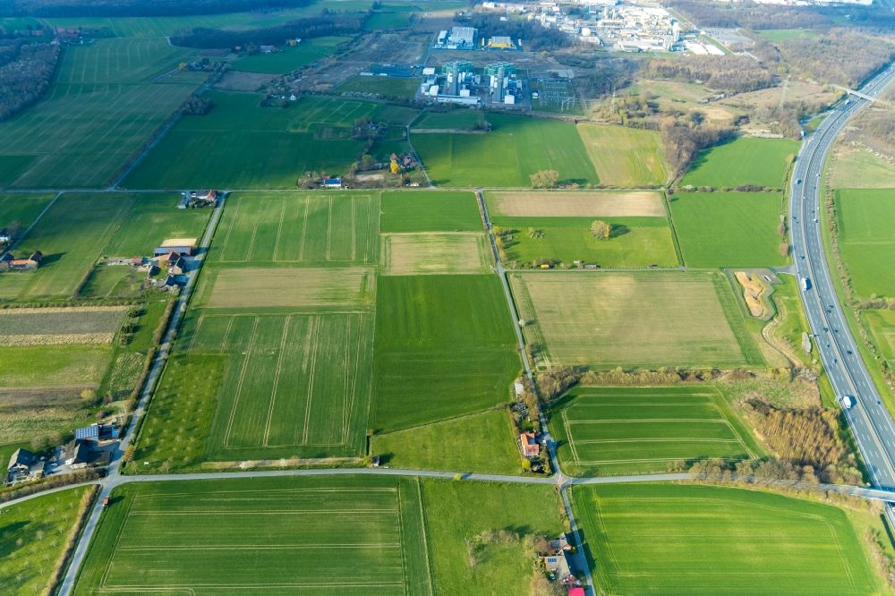 Aerial image Norddinker - Homestead of a farm in Norddinker in the state North Rhine-Westphalia, Germany