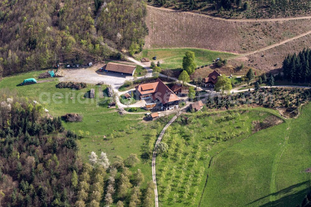 Ohlsbach from the bird's eye view: Homestead and farm outbuildings on the edge of agricultural fields in Obstbluete in Ohlsbach in the state Baden-Wuerttemberg, Germany