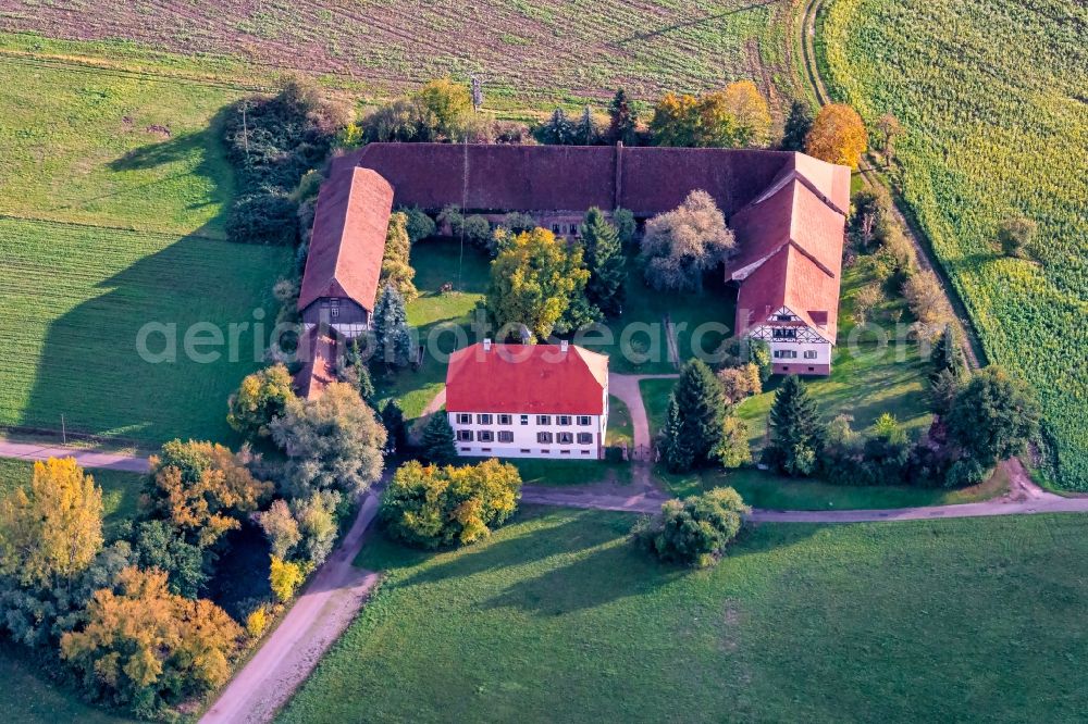 Neuried from above - Homestead of a farm Ottenweier Hof of Seitz Trios in Neuried in the state Baden-Wuerttemberg, Germany
