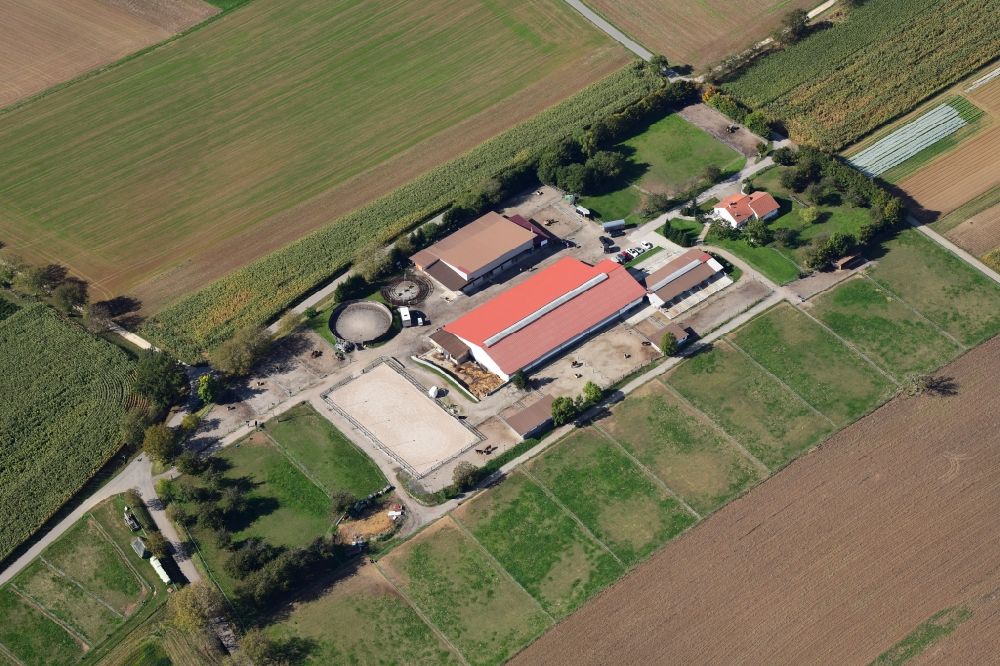 Aerial image Efringen-Kirchen - Homestead of a farm and horse stable in Efringen-Kirchen in the state Baden-Wurttemberg, Germany