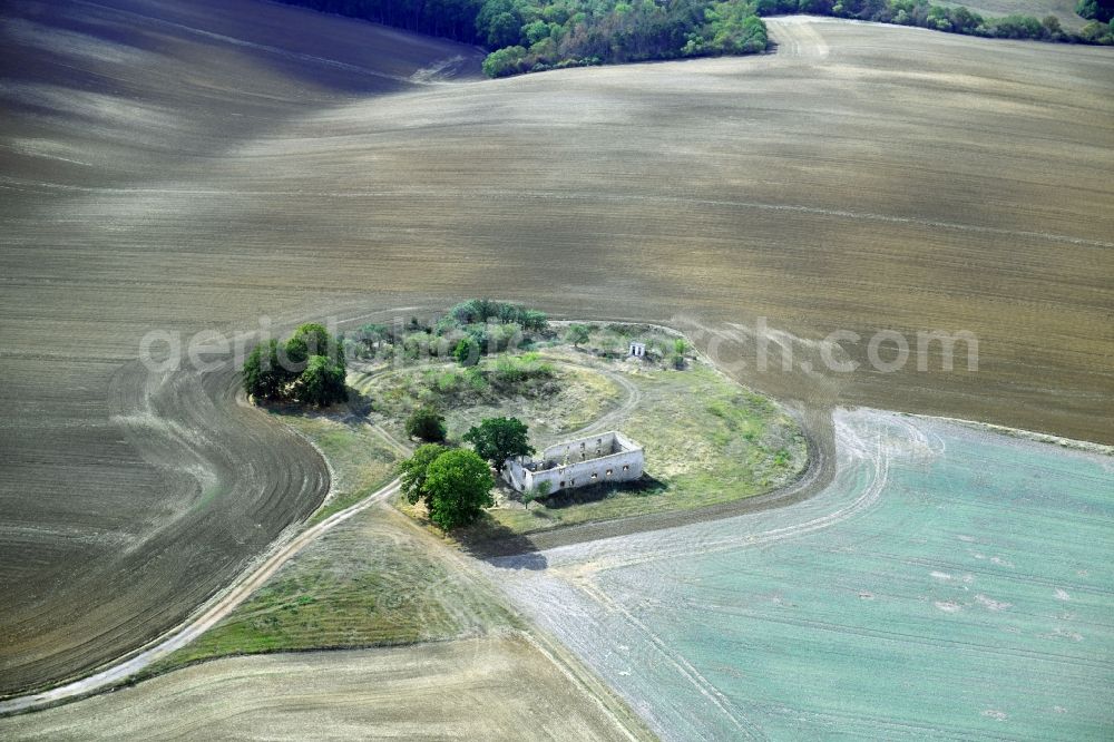 Aerial photograph Balgstädt - Ruins of Homestead of a farm in Balgstaedt in the state Saxony-Anhalt, Germany