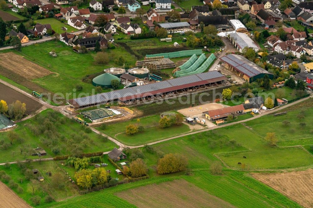 Aerial image Schwanau - Homestead of a farm in Schwanau in the state Baden-Wurttemberg, Germany