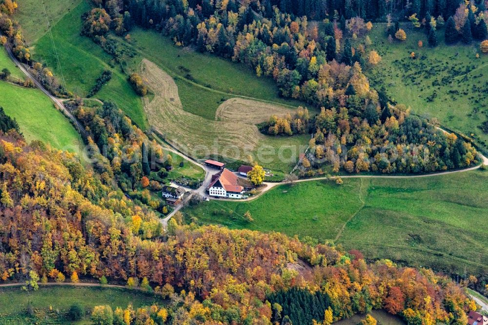 Aerial photograph Hausach - Homestead of a farm in Schwarzwald in Hausach in the state Baden-Wuerttemberg, Germany