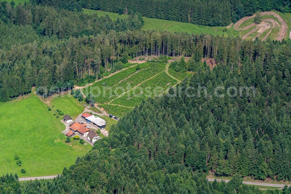 Schweighausen from above - Homestead of a farm in Schweighausen in the state Baden-Wuerttemberg, Germany