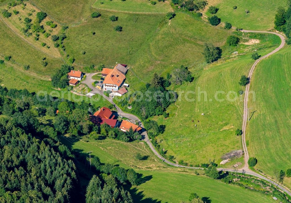 Aerial photograph Schweighausen - Homestead of a farm in Schweighausen in the state Baden-Wuerttemberg, Germany