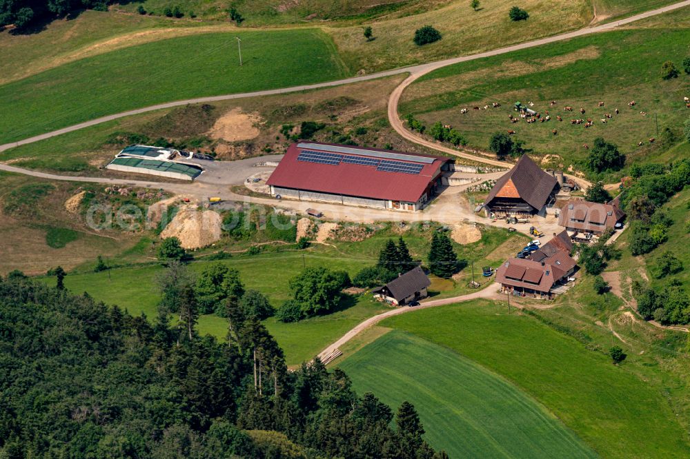 Aerial image Seelbach - Homestead and farm outbuildings on the edge of agricultural fields in Seelbach in the state Baden-Wuerttemberg, Germany