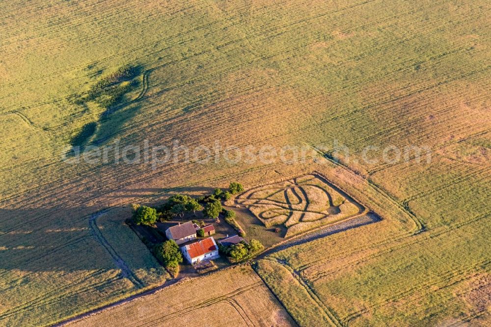 Aerial image Borre - Homestead of a farm surrounded by crop fields in Borre in Region Sjaelland, Denmark