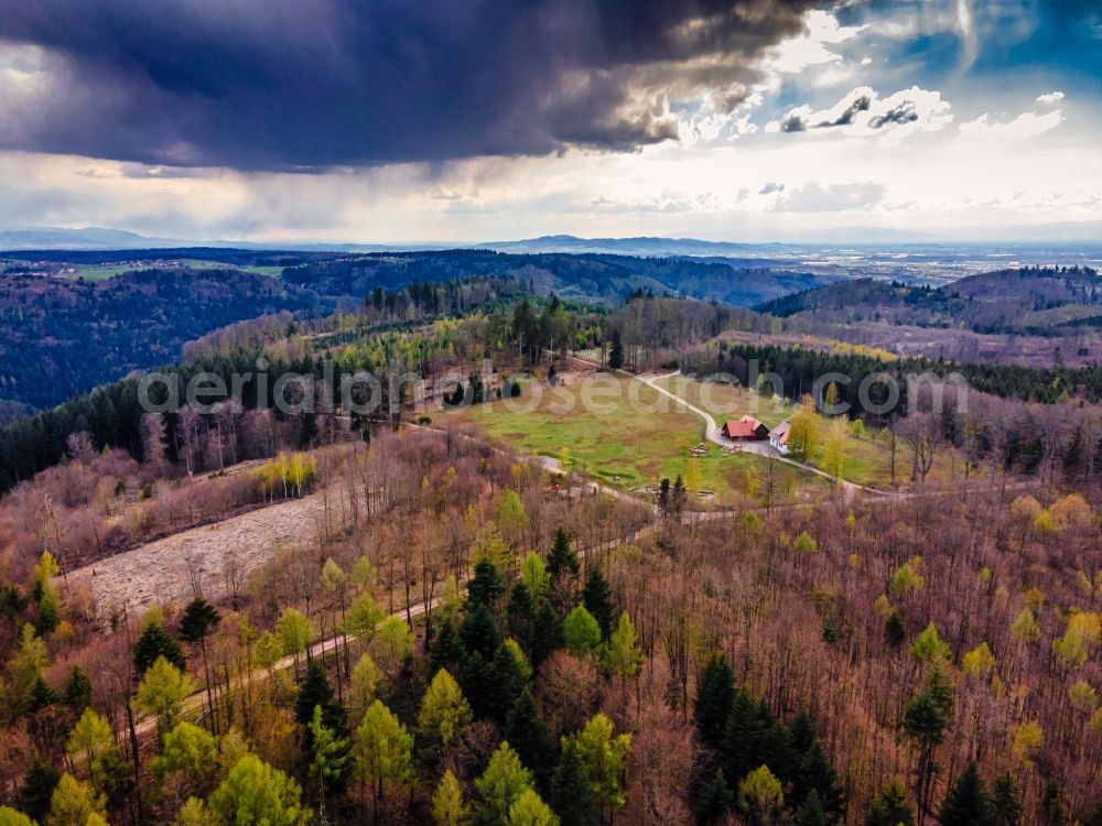 Aerial photograph Ettenheim - Homestead of a farm von Wald umgeben, on Herbolzheimer Hoefle in Ettenheim in the state Baden-Wuerttemberg, Germany