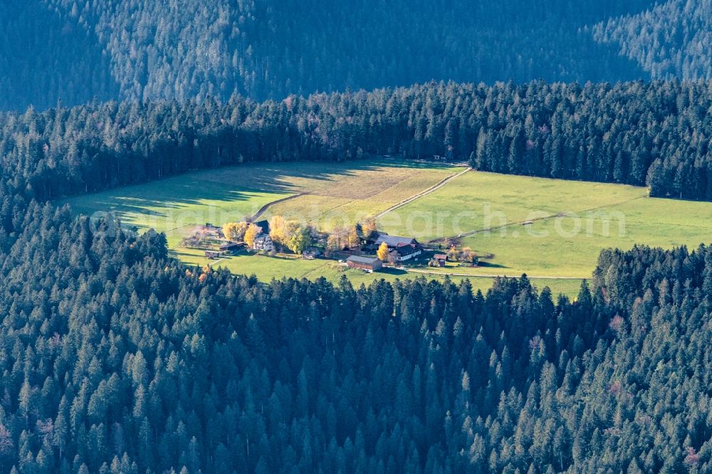 Aerial photograph Hinterrötenberg - Homestead of a farm von Wald umgeben in Hinterroetenberg in the state Baden-Wuerttemberg, Germany