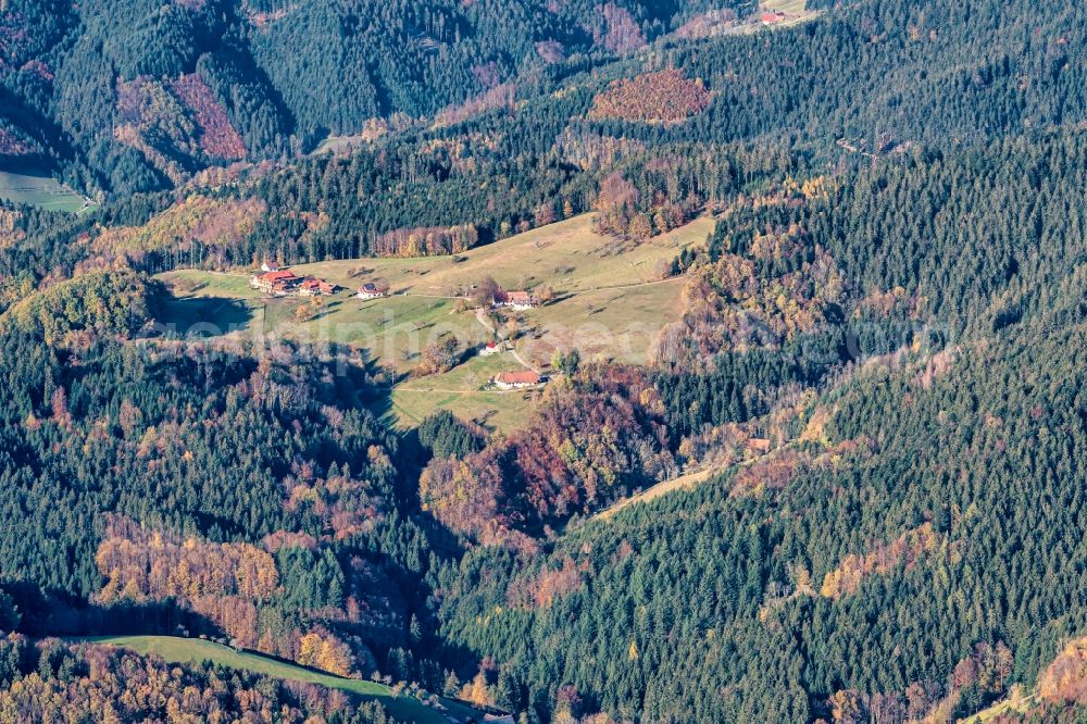 Aerial photograph Bad Peterstal-Griesbach - Homestead of a farm Waldlichtung Schwarzwald in Bad Peterstal-Griesbach in the state Baden-Wuerttemberg, Germany