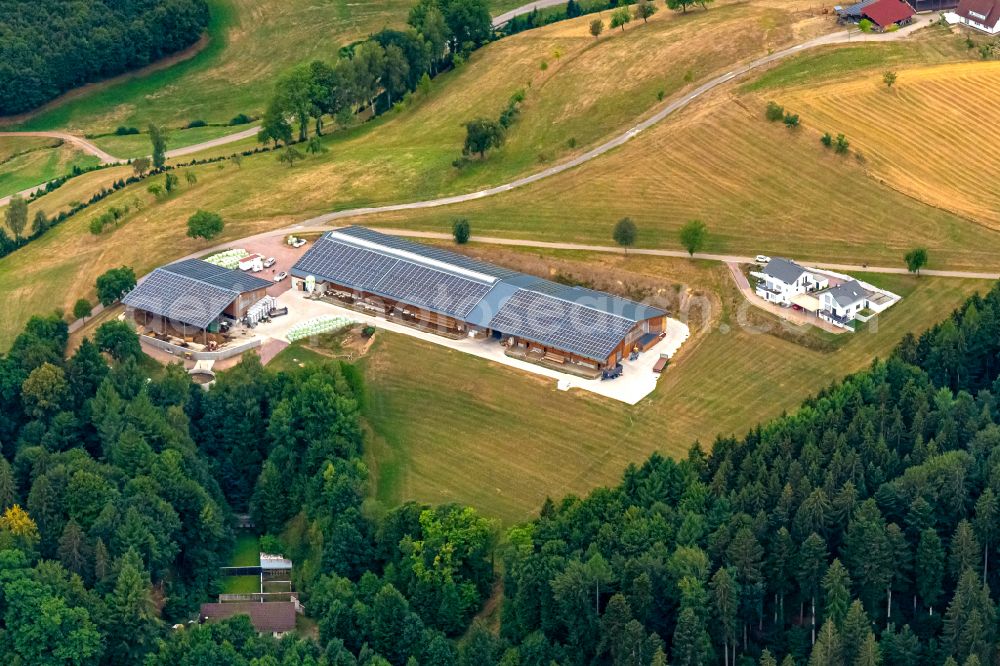 Elzach from the bird's eye view: Homestead and farm outbuildings on the edge of agricultural fields Weber Jockenhof GbR in Elzach in the state Baden-Wuerttemberg, Germany