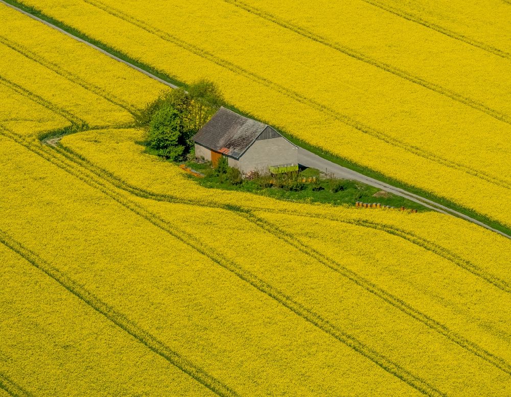 Aerial image Anröchte - Homestead of a farm on yellow rape field in Anroechte in the state North Rhine-Westphalia, Germany