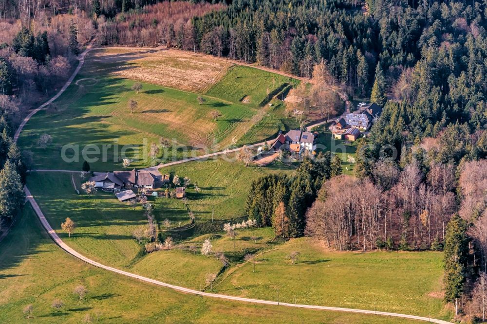 Seelbach from above - Homestead of a farm Hasenberg in Seelbach in the state Baden-Wuerttemberg, Germany