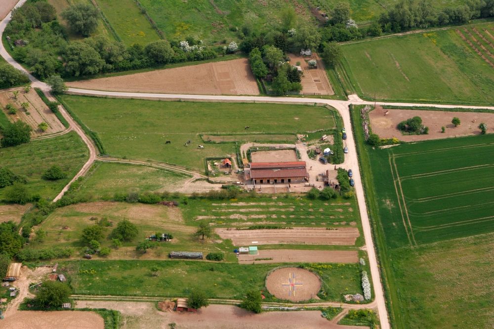 Schwabenheim an der Selz from the bird's eye view: Homestead with yellow flowering fields and a horse pasture in the Near of Swabia an der Selz in Rhineland-Palatine