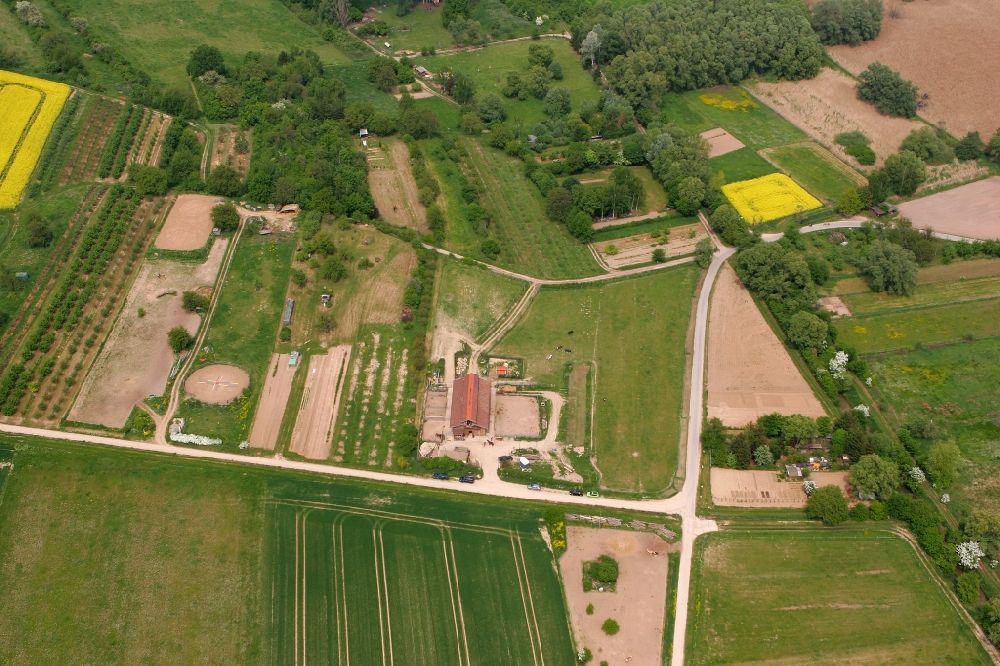 Aerial image Schwabenheim an der Selz - Homestead with yellow flowering fields and a horse pasture in the Near of Swabia an der Selz in Rhineland-Palatine