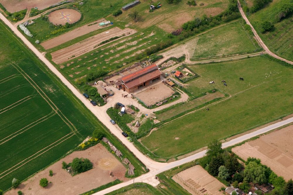 Aerial photograph Schwabenheim an der Selz - Homestead with yellow flowering fields and a horse pasture in the Near of Swabia an der Selz in Rhineland-Palatine