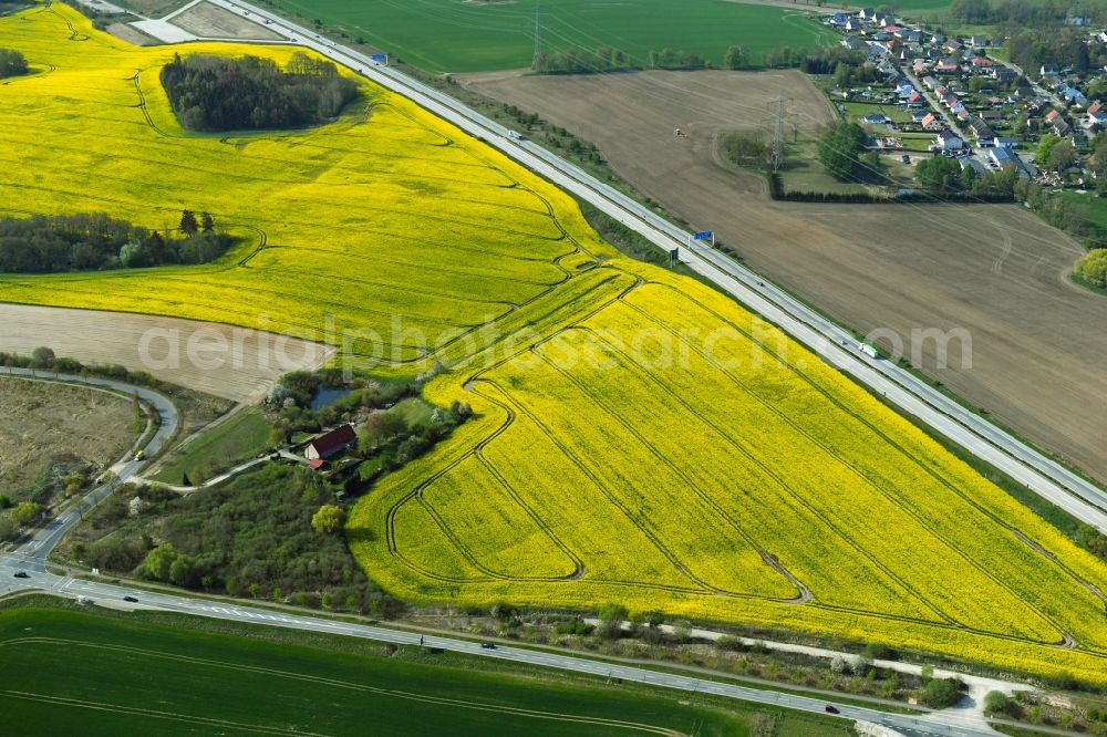 Beselin from the bird's eye view: Homestead with farm outbuilding and rape field near Beselin in the state Mecklenburg-Western Pomerania, Germany