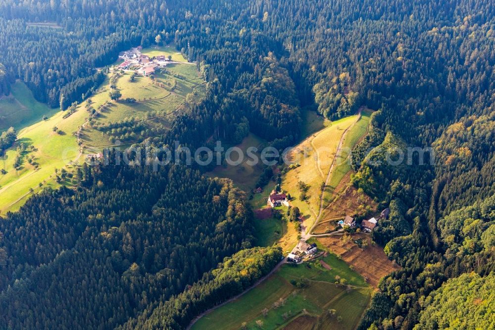 Oppenau from above - Homestead of a black forest farm Felmeck in Oppenau in the state Baden-Wuerttemberg, Germany