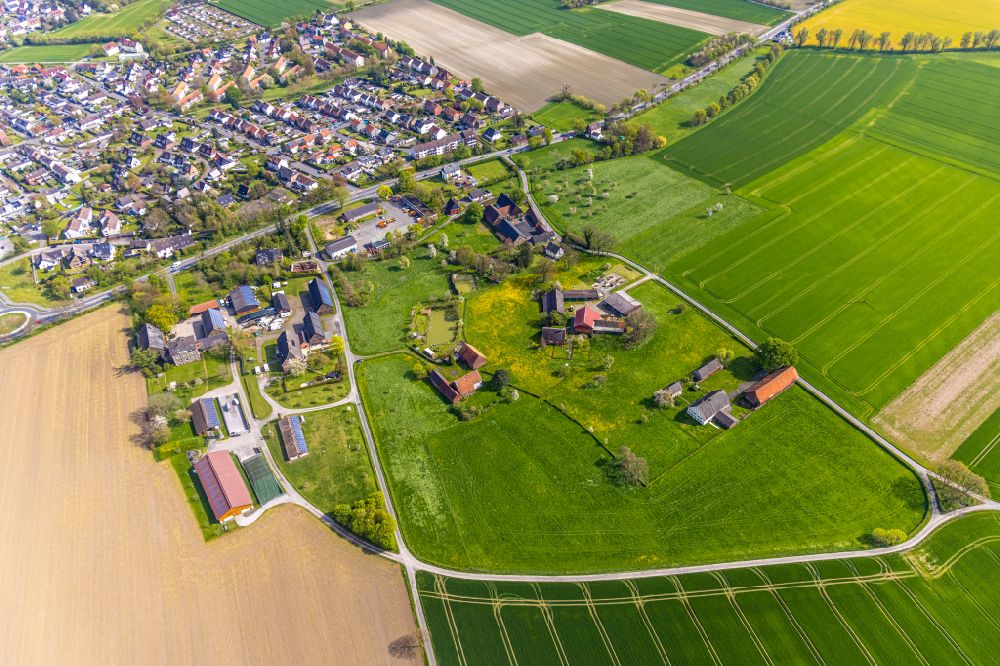 Bönen from the bird's eye view: Homesteads and farms on the edge of agricultural fields on the road Am Telgenbusch in Boenen in the Ruhr area in the state North Rhine-Westphalia, Germany