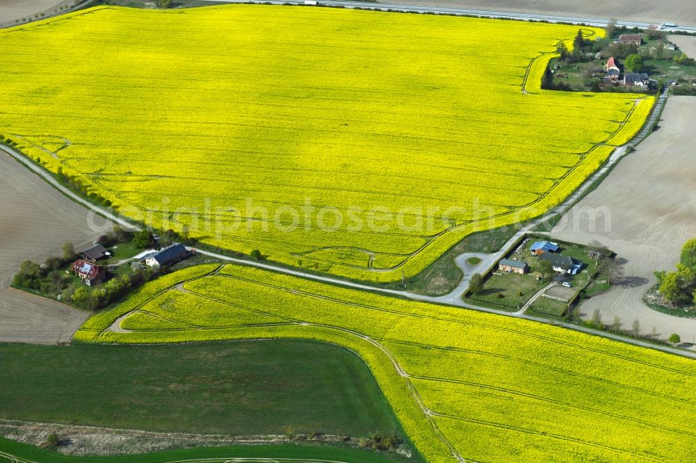 Aerial image Sabel - Homesteads and farms with secondary crops and rape fields near Sabel in the state Mecklenburg-Western Pomerania, Germany