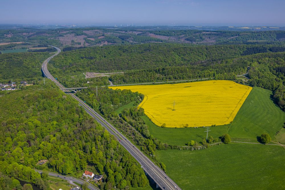 Aerial photograph Arnsberg - Field landscape of yellow rapeseed flowers fringed by a wooded area in Arnsberg at Sauerland in the state North Rhine-Westphalia, Germany