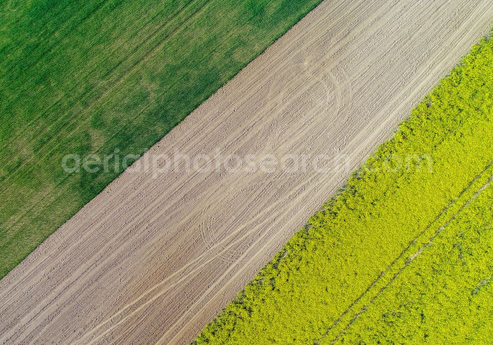 Aerial photograph Falkenhagen (Mark) - Yellow - green contrast of blooming rapeseed flowers on field stripes in Falkenhagen (Mark) in the state Brandenburg, Germany