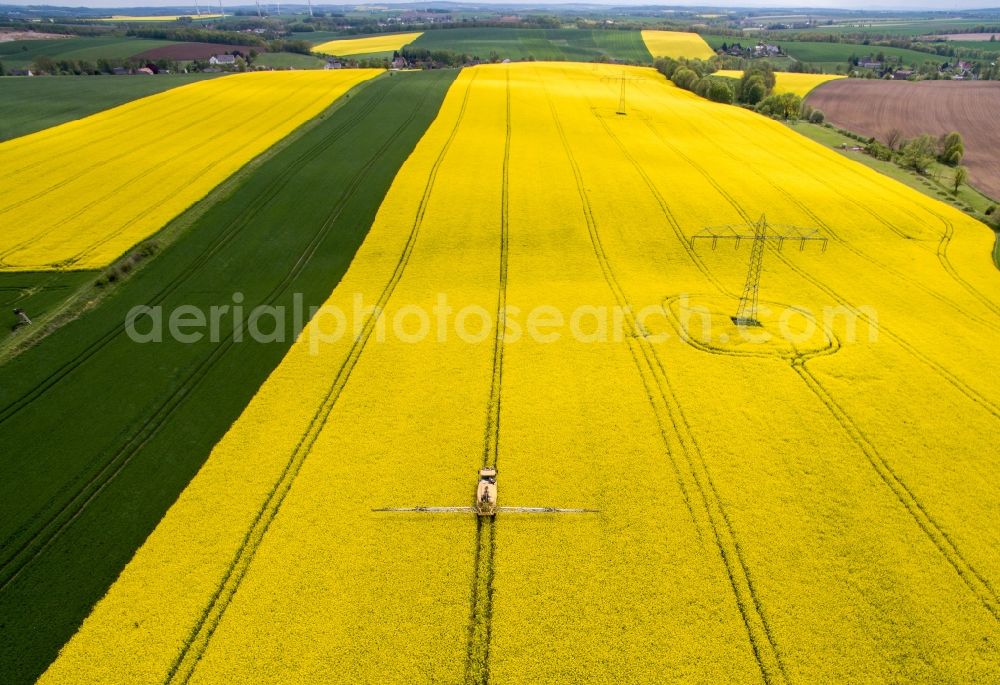 Aerial photograph Langenleuba-Oberhain - Yellow - green contrast of blooming rapeseed flowers on field stripes in Langenleuba-Oberhain in the state Saxony, Germany