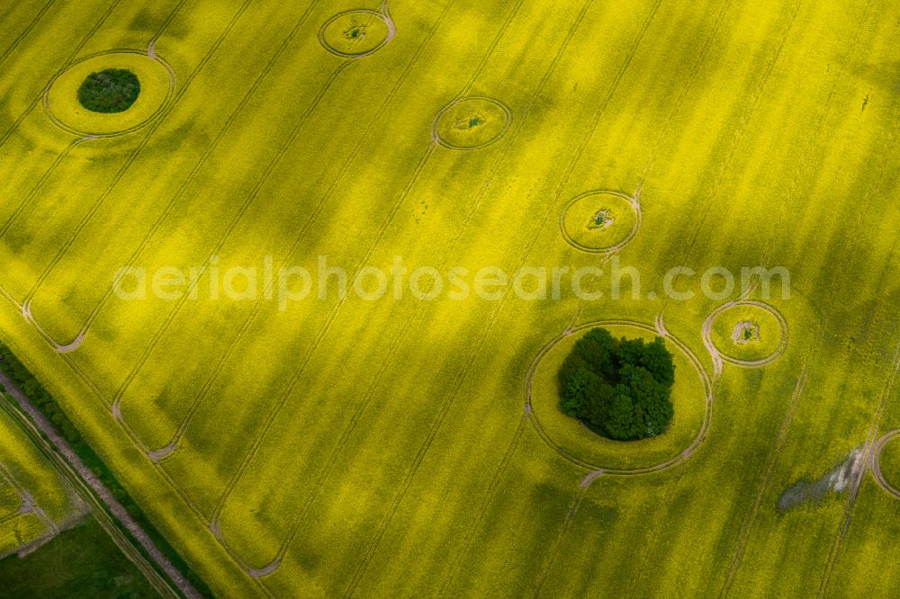 Putlitz from above - Yellow - green contrast of blooming rapeseed flowers on field stripes in Putlitz in the state Brandenburg, Germany