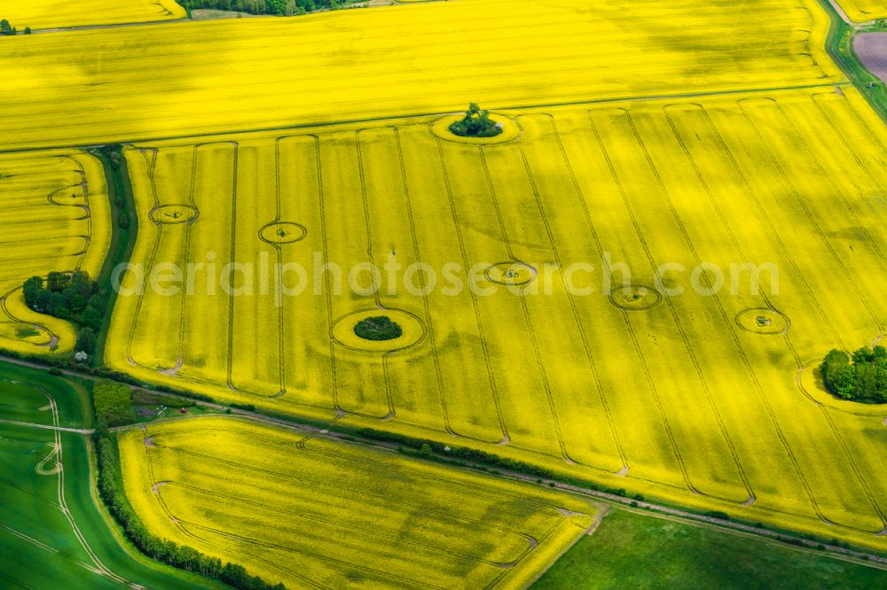 Putlitz from above - Yellow - green contrast of blooming rapeseed flowers on field stripes in Putlitz in the state Brandenburg, Germany