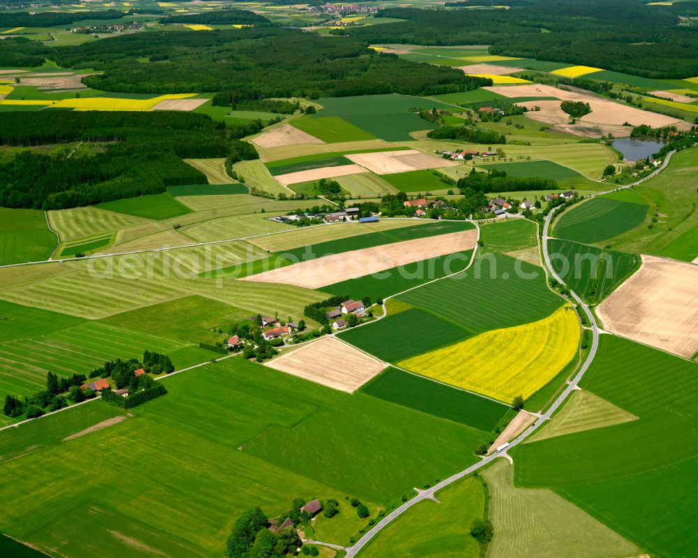 Stafflangen from above - Yellow - green contrast of blooming rapeseed flowers on field stripes in Stafflangen in the state Baden-Wuerttemberg, Germany