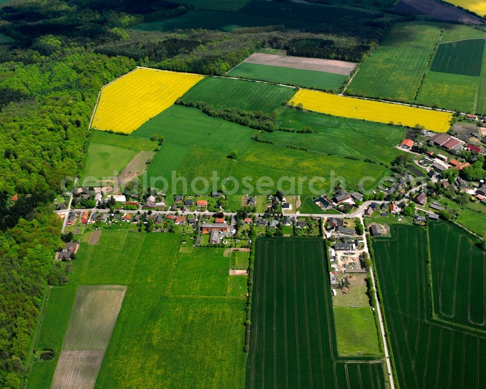Aerial photograph Tramm - Yellow - green contrast of blooming rapeseed flowers on field stripes in Tramm in the state Schleswig-Holstein, Germany