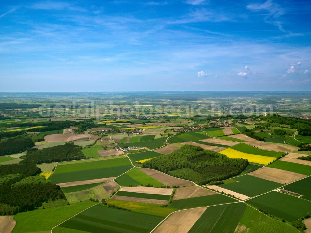 Uttenweiler from above - Yellow - green contrast of blooming rapeseed flowers on field stripes in Uttenweiler in the state Baden-Wuerttemberg, Germany