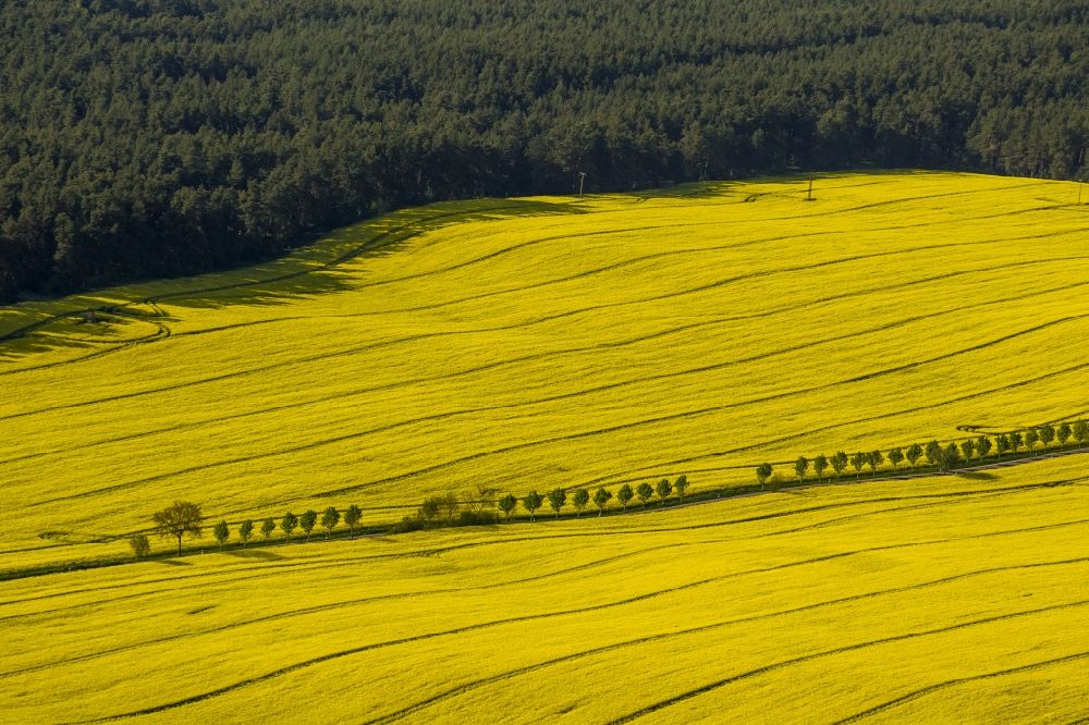 Aerial photograph Wesenberg - Yellow radiant rapeseed field landscape near Wesenberg in the state of Mecklenburg-Western Pomerania