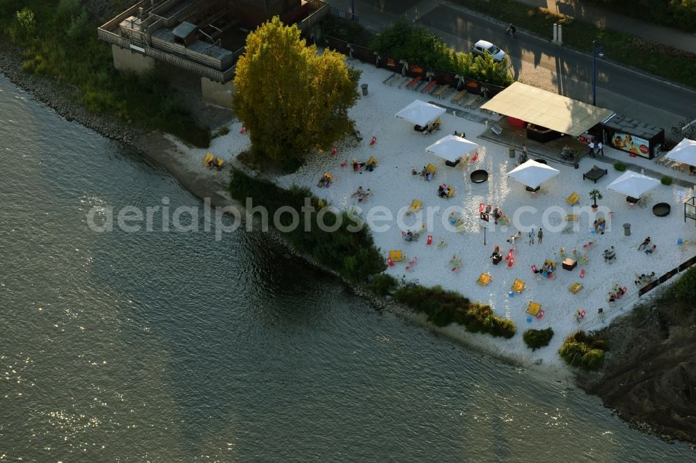 Aerial image Magdeburg - Site of the beach on the banks of the Elbe in Magdeburg in Saxony-Anhalt
