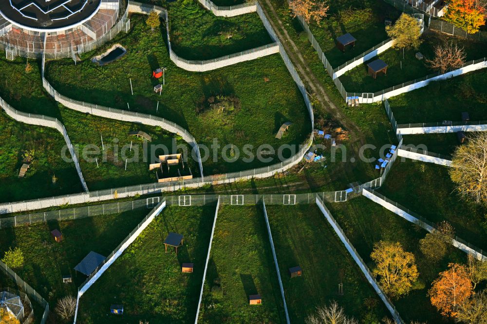 Berlin from above - Site of the animal shelter, also known as the city of animals, destrict Hohenschoenhausen in Berlin in Germany