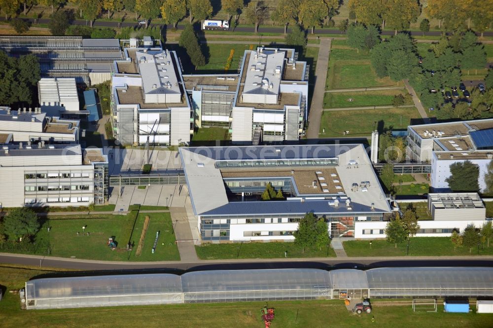 Potsdam from the bird's eye view: View at the site of the Max Planck Society for the Advancement of Science at the science park in the district Golm in Potsdam in the federal state of Brandenburg. The Max Planck Institute for Molecular Plant Physiology, the MPI of Colloids and Interfaces, the MPI for Gravitational Physics and the MPI guest house are located here