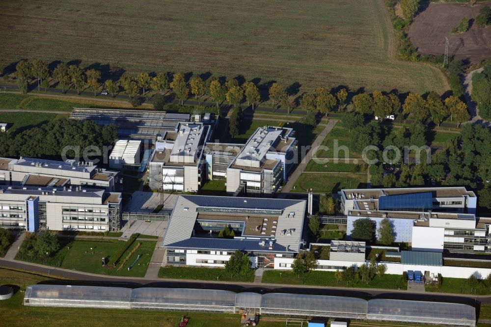 Aerial image Potsdam - View at the site of the Max Planck Society for the Advancement of Science at the science park in the district Golm in Potsdam in the federal state of Brandenburg. The Max Planck Institute for Molecular Plant Physiology, the MPI of Colloids and Interfaces, the MPI for Gravitational Physics and the MPI guest house are located here