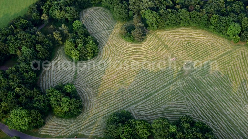 Aerial image Bonn - Mown grass area in the Rheinaue in Bonn in the state North Rhine-Westphalia, Germany