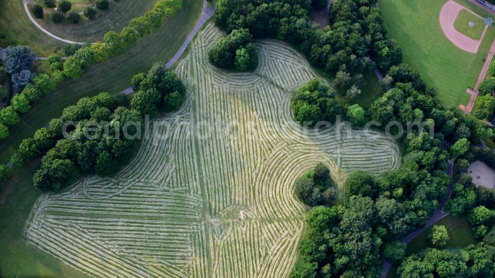 Aerial photograph Bonn - Mown grass area in the Rheinaue in Bonn in the state North Rhine-Westphalia, Germany