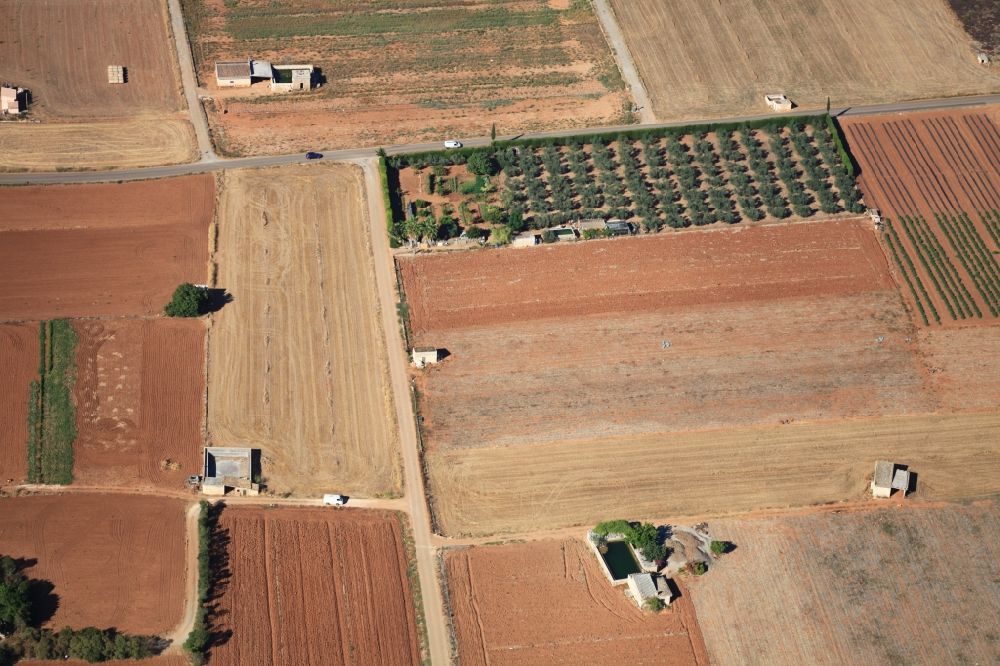 Aerial photograph Inca - Vegetable patches and fields at Inca Mallorca in Balearic Islands, Spain