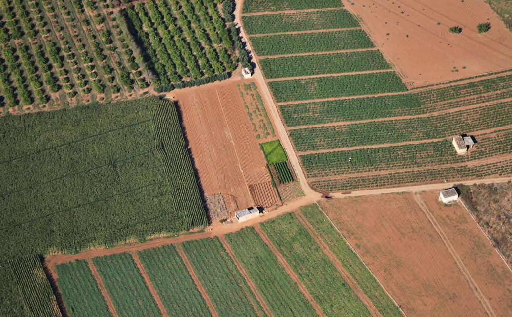 Inca from above - Vegetable patches and fields at Inca Mallorca in Balearic Islands, Spain
