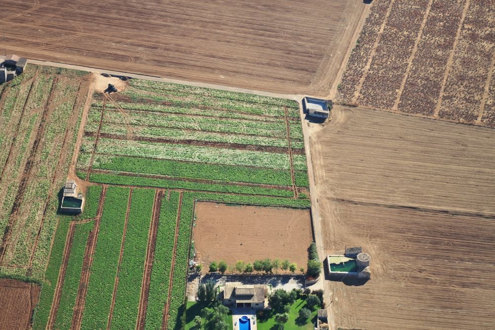 Inca from the bird's eye view: Vegetable patches and fields at Inca Mallorca in Balearic Islands, Spain