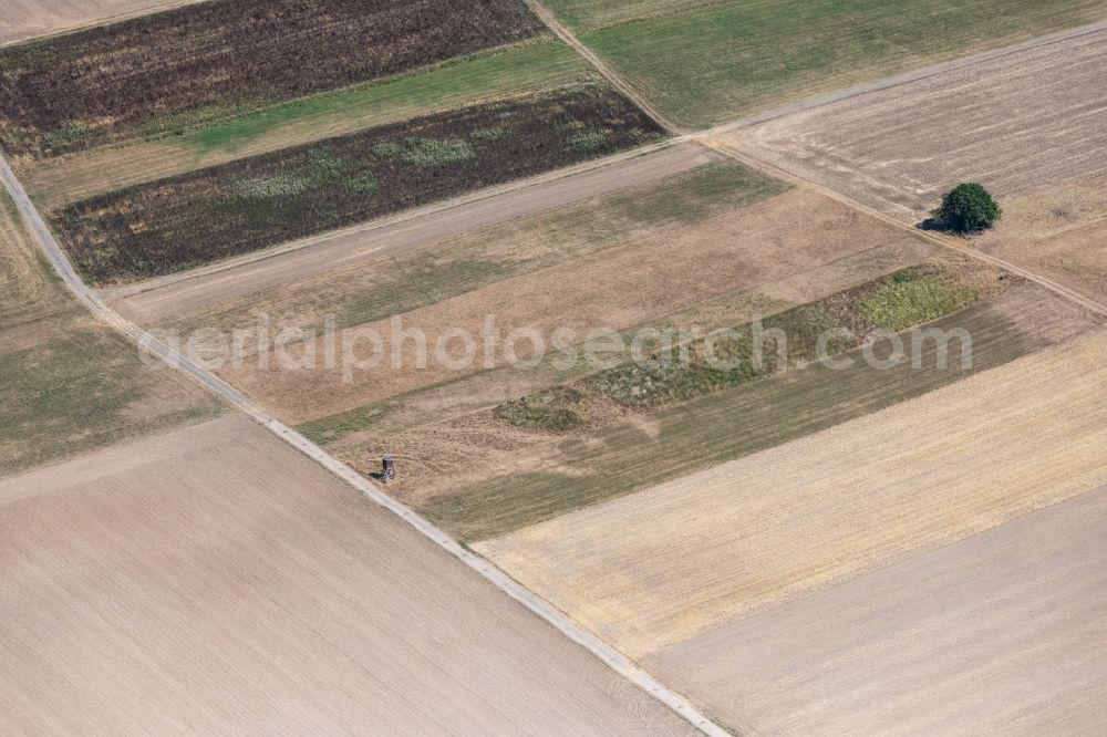 Buseck from above - Plowed field in Buseck in the state Hesse, Germany