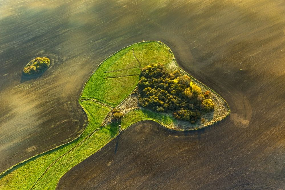 Aerial image Hohenzieritz - Prill Witz on Lieps lake at the Mecklenburg Lake District in the state of Mecklenburg - Western Pomerania