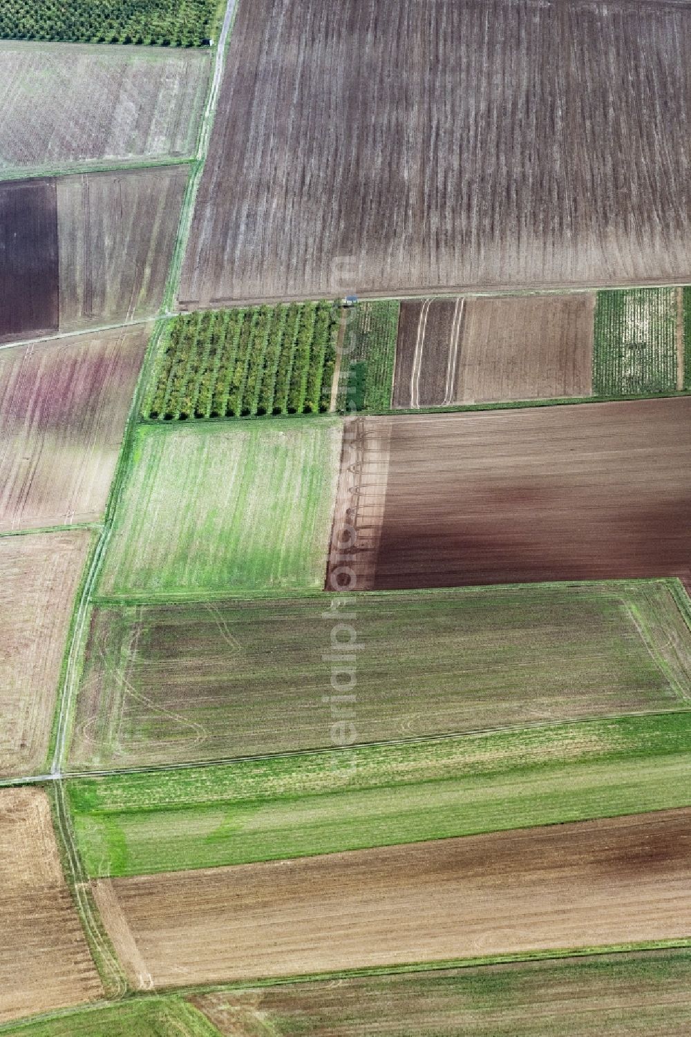 Korbach from above - Plowed field and frisch ongesaegte Felder in Korbach in the state Hesse, Germany