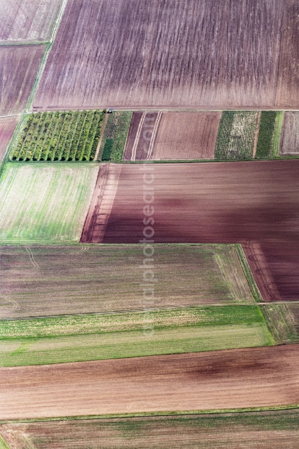 Aerial image Korbach - Plowed field and frisch ongesaegte Felder in Korbach in the state Hesse, Germany