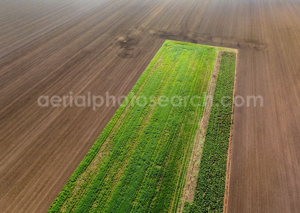 Aerial photograph Mölbis - Plowed field with green strips in Moelbis in the state Saxony, Germany