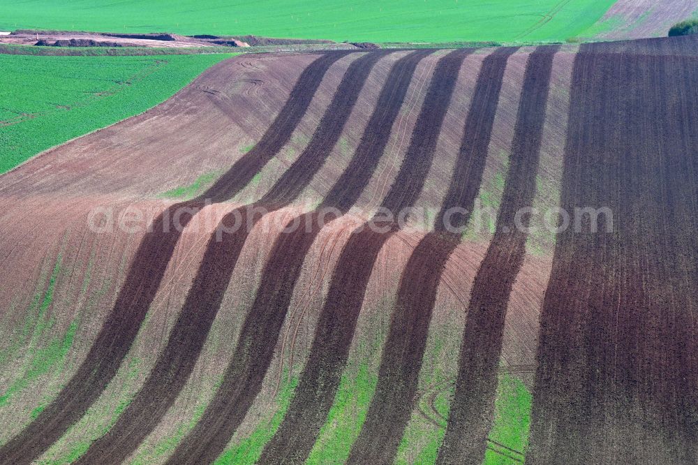 Aerial photograph Wettin-Löbejün - Plowed fields in rows on the waves of a hilly landscape in Wettin-Loebejuen in the state Saxony-Anhalt, Germany